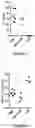 Fig. 10 - Correction of Beta-Thalassemia Phenotype by Genetically Engineered Hematopoietic Stem Cell