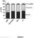 Fig. 12 - Correction of Beta-Thalassemia Phenotype by Genetically Engineered Hematopoietic Stem Cell