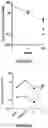 Fig. 16 - Correction of Beta-Thalassemia Phenotype by Genetically Engineered Hematopoietic Stem Cell