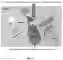 Fig. 02 - AMNIOTIC FLUID FORMULATION FOR TREATMENT OF JOINT PAIN OR DISORDERS