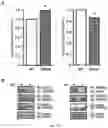 Fig. 08 - COMPOSITIONS AND METHODS OF MODULATING CASOTRANSMITTER SIGNALING
