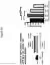 Fig. 16 - Compositions and methods for inhibiting seizures