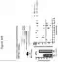 Fig. 34 - Compositions and methods for inhibiting seizures