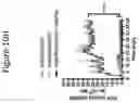 Fig. 41 - Compositions and methods for inhibiting seizures