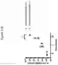 Fig. 43 - Compositions and methods for inhibiting seizures
