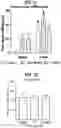 Fig. 25 - COMPOSITIONS COMPRISING BACTERIAL STRAINS