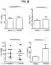 Fig. 27 - COMPOSITIONS COMPRISING BACTERIAL STRAINS