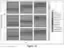 Fig. 25 - OLEAGINOUS MICROBE SUPPLEMENTATION FOR IMPROVING BLACK SOLDIER FLY GROWTH AND DEVELOPMENT