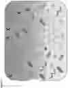 Fig. 02 - BACTERIAL ENZYMATIC CONVERSION OF ANTHRACYCLINE CHEMOTHERAPEUTICS TO REDUCE TOXICITY AND PROMOTE DIVERSITY AMONG THE INTESTINAL MICROBIOTA