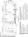 Fig. 16 - BACTERIAL ENZYMATIC CONVERSION OF ANTHRACYCLINE CHEMOTHERAPEUTICS TO REDUCE TOXICITY AND PROMOTE DIVERSITY AMONG THE INTESTINAL MICROBIOTA
