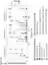 Fig. 17 - BACTERIAL ENZYMATIC CONVERSION OF ANTHRACYCLINE CHEMOTHERAPEUTICS TO REDUCE TOXICITY AND PROMOTE DIVERSITY AMONG THE INTESTINAL MICROBIOTA