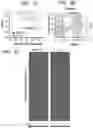 Fig. 06 - MICROBIOME RESPONSE TO AGENTS