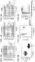 Fig. 09 - MICROBIOME RESPONSE TO AGENTS