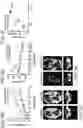 Fig. 18 - MICROBIOME RESPONSE TO AGENTS