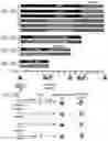 Fig. 26 - MICROBIOME RESPONSE TO AGENTS
