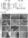 Fig. 44 - MICROBIOME RESPONSE TO AGENTS