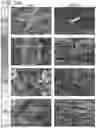 Fig. 52 - MICROBIOME RESPONSE TO AGENTS
