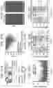 Fig. 58 - MICROBIOME RESPONSE TO AGENTS