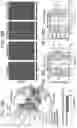 Fig. 60 - MICROBIOME RESPONSE TO AGENTS