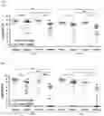 Fig. 07 - BACTERIOPHAGES FOR INHIBITING BACTERIA
