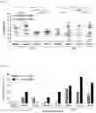 Fig. 08 - BACTERIOPHAGES FOR INHIBITING BACTERIA