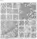Fig. 09 - BACTERIOPHAGES FOR INHIBITING BACTERIA