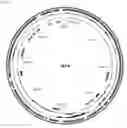 Fig. 12 - BACTERIOPHAGES FOR INHIBITING BACTERIA