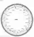Fig. 13 - BACTERIOPHAGES FOR INHIBITING BACTERIA