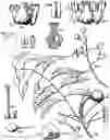 Fig. 01 - Novel Compounds and Pharmaceutical Preparations