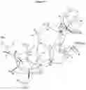 Fig. 31 - Novel Compounds and Pharmaceutical Preparations