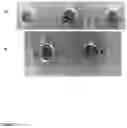Fig. 21 - LANTIBIOTICS AND LANTIBIOTIC-PRODUCING BACTERIA