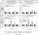 Fig. 24 - Polypeptides for treatment of cancer