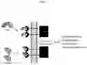 Fig. 03 - METHODS OF OCULAR TREATMENT USING AN ENGINEERED DIMERIC FRAGMENT OF HEPATOCYTE GROWTH FACTOR