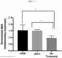 Fig. 06 - METHODS OF OCULAR TREATMENT USING AN ENGINEERED DIMERIC FRAGMENT OF HEPATOCYTE GROWTH FACTOR