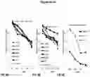 Fig. 05 - PEPTIDES AND COMPOSITIONS FOR TREATMENT OF JOINT DAMAGE