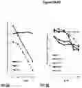 Fig. 06 - PEPTIDES AND COMPOSITIONS FOR TREATMENT OF JOINT DAMAGE