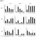 Fig. 02 - PHARMACEUTICAL COMPOSITION, FOR PREVENTING OR TREATING INFLAMMATORY DISEASES, COMPRISING OSTEOCALCIN