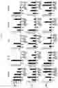 Fig. 08 - PHARMACEUTICAL COMPOSITION, FOR PREVENTING OR TREATING INFLAMMATORY DISEASES, COMPRISING OSTEOCALCIN