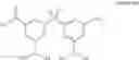 Fig. 109 - GLUCOSE SENSITIVE INSULIN DERIVATIVES
