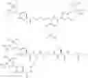 Fig. 118 - GLUCOSE SENSITIVE INSULIN DERIVATIVES