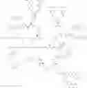 Fig. 161 - GLUCOSE SENSITIVE INSULIN DERIVATIVES