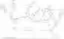 Fig. 164 - GLUCOSE SENSITIVE INSULIN DERIVATIVES