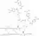 Fig. 184 - GLUCOSE SENSITIVE INSULIN DERIVATIVES