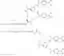 Fig. 194 - GLUCOSE SENSITIVE INSULIN DERIVATIVES