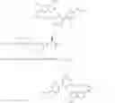Fig. 203 - GLUCOSE SENSITIVE INSULIN DERIVATIVES