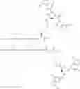 Fig. 207 - GLUCOSE SENSITIVE INSULIN DERIVATIVES