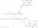 Fig. 211 - GLUCOSE SENSITIVE INSULIN DERIVATIVES