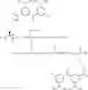 Fig. 214 - GLUCOSE SENSITIVE INSULIN DERIVATIVES
