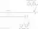 Fig. 222 - GLUCOSE SENSITIVE INSULIN DERIVATIVES