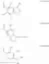 Fig. 23 - GLUCOSE SENSITIVE INSULIN DERIVATIVES